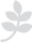 web campania